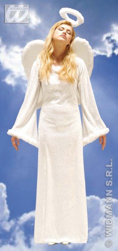 Angel costume Angel costume