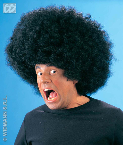 Afro wig - black disco Afro wig - black disco